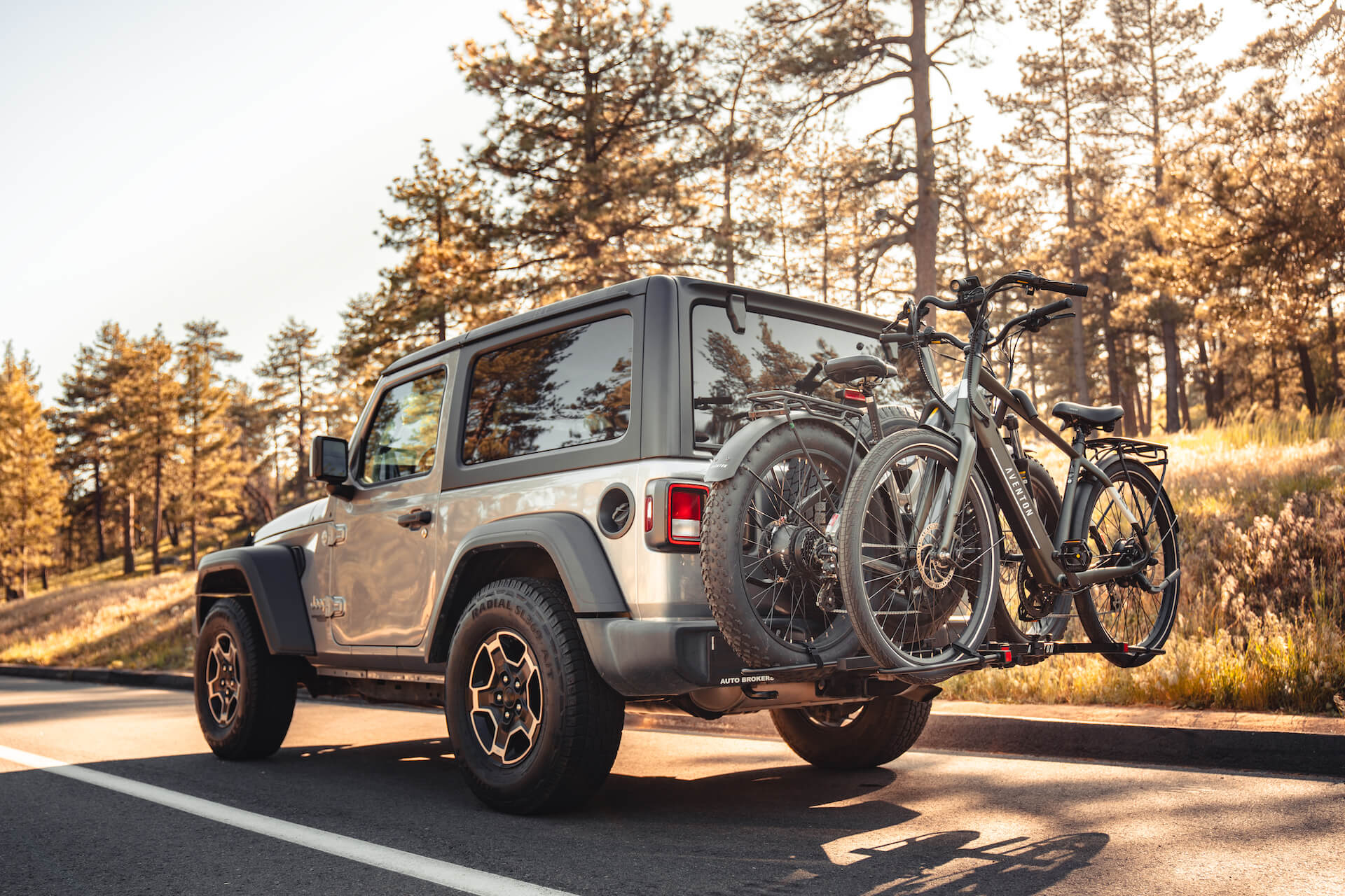 Aventon Hitch Rack - Image 10
