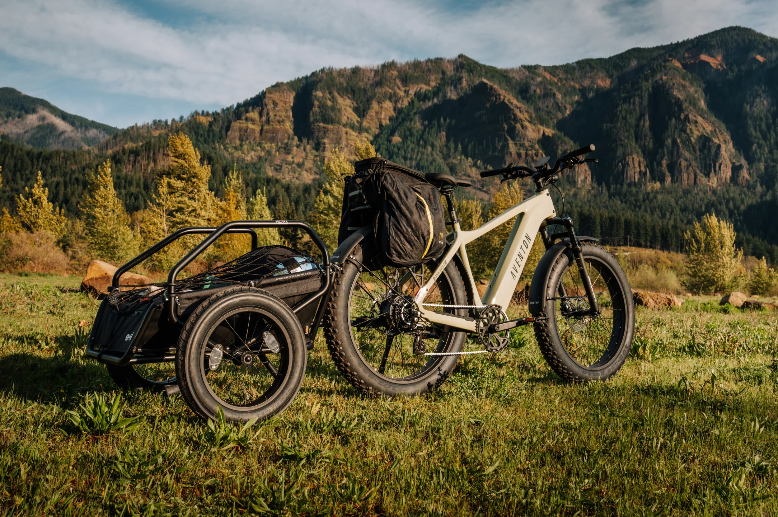 Aventure 3 Ebike - Image 18