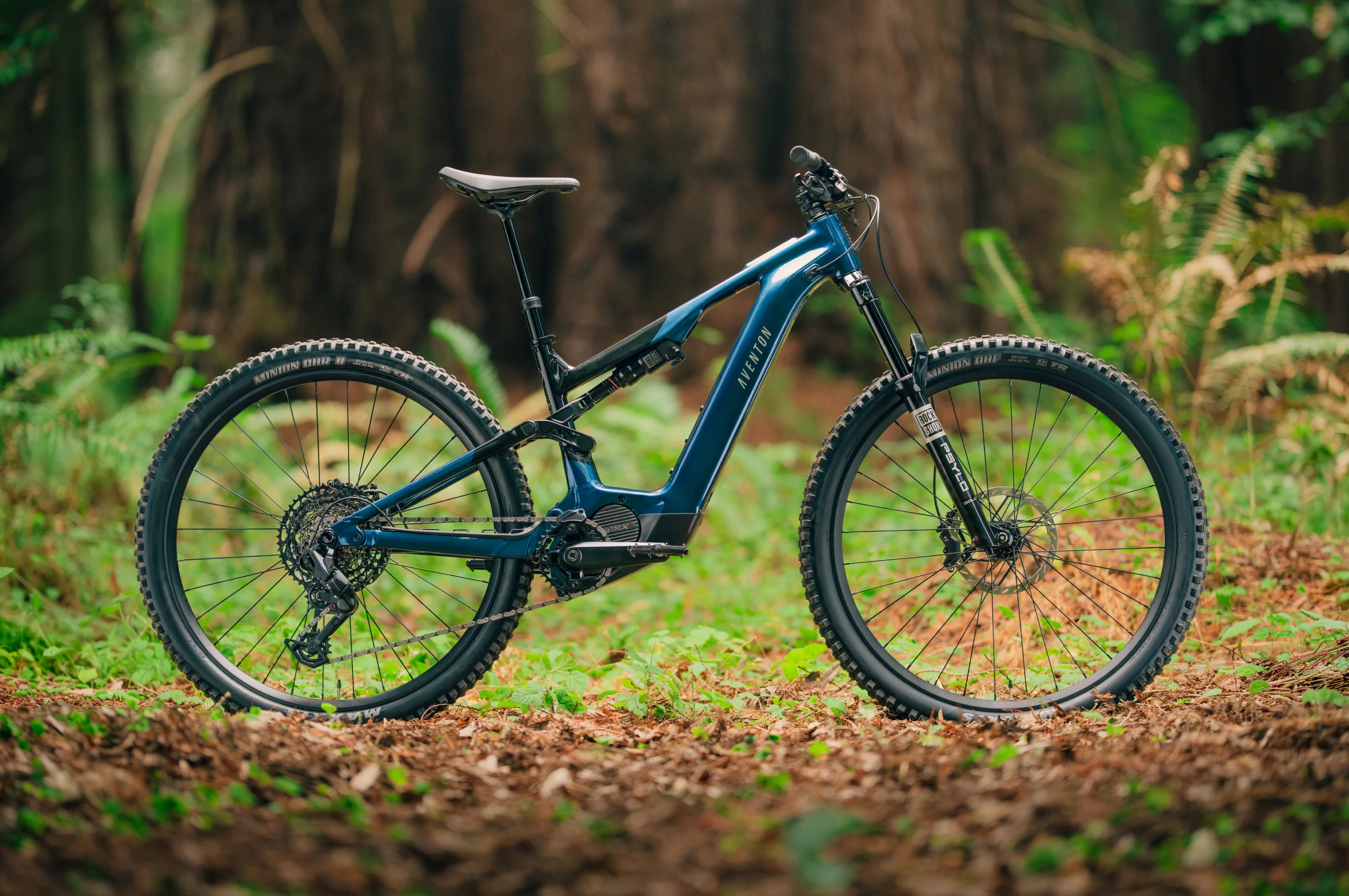 Current ADV Ebike - Image 7